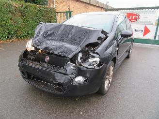 škoda kempování Fiat Punto  2013/9