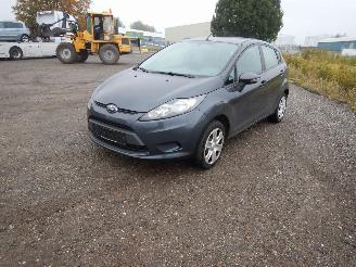 Ford Fiesta 1.25 picture 1