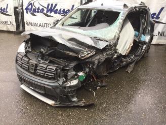 dañado caravana Dacia Sandero Stepway 2018/8