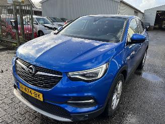 Opel Grandland X 1.2 Turbo  Business Executive picture 1