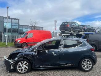 uszkodzony samochody ciężarowe Renault Clio 0.9 TCe Limited BJ 2019 60380 KM 2019/1
