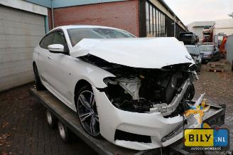Damaged car BMW 6-serie G32 3.0dX 2017/8